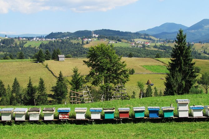 The wine route by bike - The ride rhythm: pace, comfort, and the “no stress” support