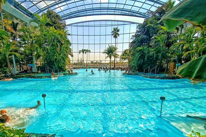 Therme Bucharest Tickets and Water Theme Park - The Therme layout: why it works better than a typical water park