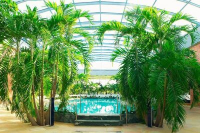 Therme Spa Ultimate Experience | Transfer – Full Access All Areas