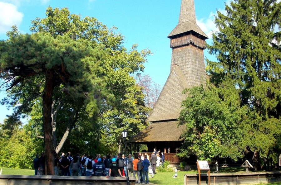 Traditions in Bucharest: Village Museum and Wine Tasting - Should you book this National Village Museum and wine tasting tour?