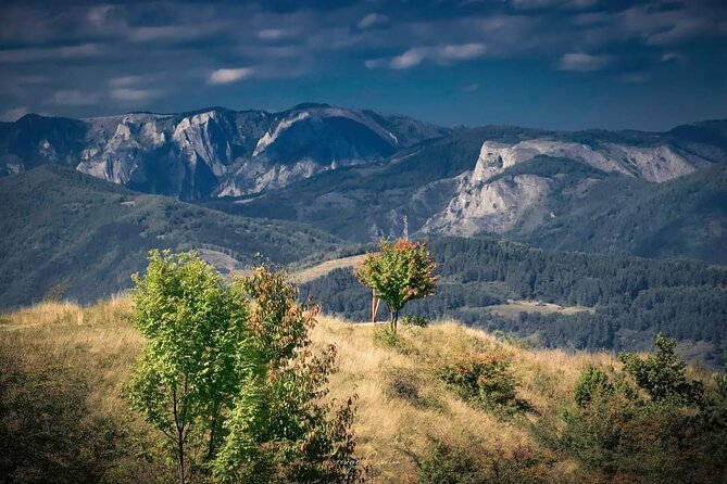 Transfer Bucharest -Brasov with Targoviste and Bran Castle visits - Bran Castle, Dracula Lore, and the Reality Check