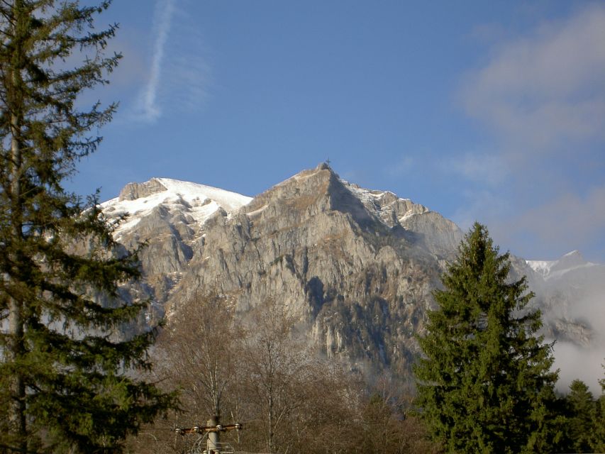 Transylvania: Cultural Full-Day Trip by Minivan - From Bucharest to Transylvania, the drive is part of the point