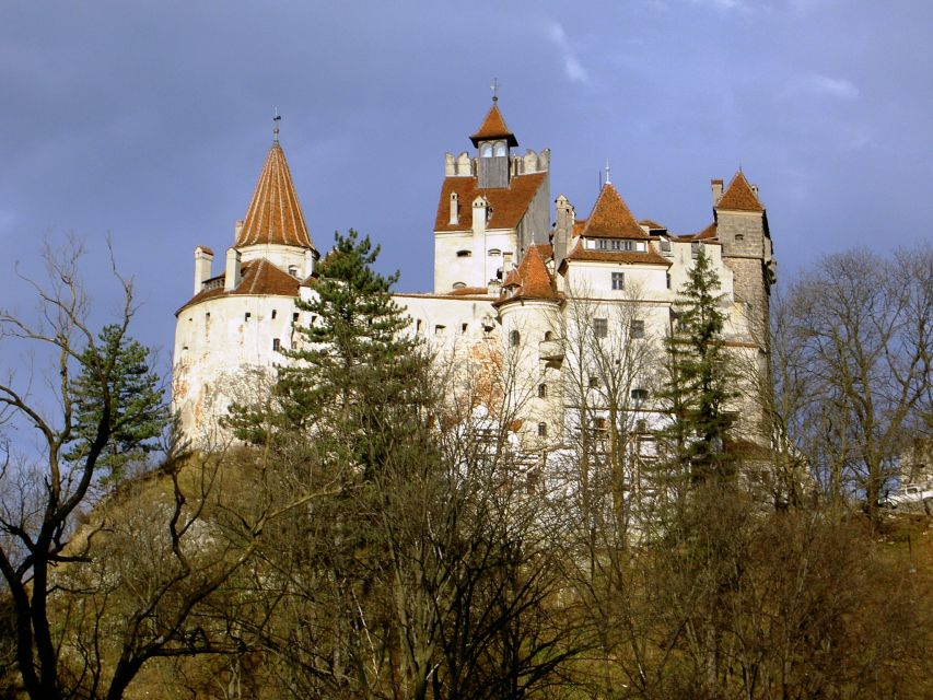 Transylvania: Cultural Full-Day Trip by Minivan - How the guide and driver shape the whole day