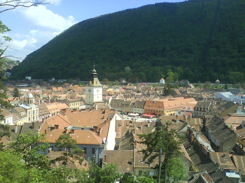 Transylvania: Cultural Full-Day Trip by Minivan - Best fit: who will love this day trip, and who might struggle