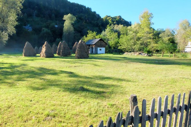 Transylvania Day Trip from Bucharest: In Search of Count Dracula - Curtea de Arges churches: frescoes and the Neagoe Basarab connection