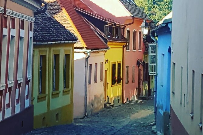 Transylvania Region In-Depth (5 Days Private Tour from Bucharest) - Day 5: Piata Mare and Cozia Monastery, plus getting back to Bucharest