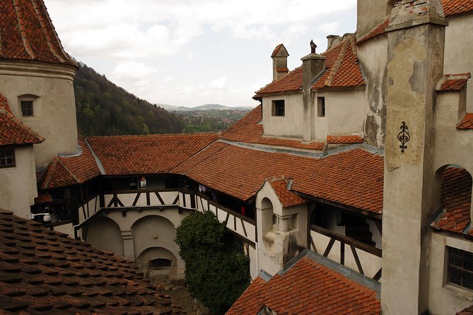 Transylvania with Dracula Castle, Bear Sanctuary and Brasov - Who This Tour Fits Best (and Who Might Feel Rushed)