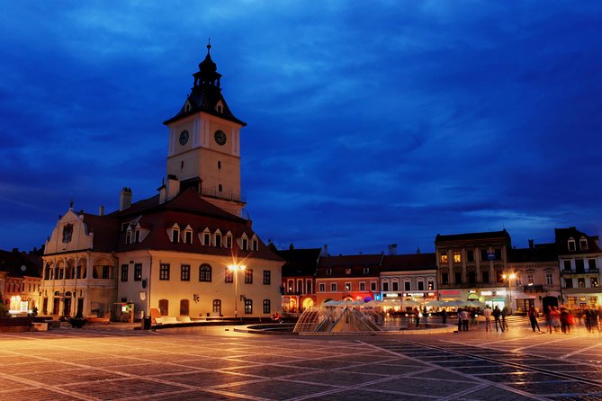 Transylvania with Dracula Castle, Bear Sanctuary and Brasov - Liberty Bear Sanctuary in Zarnesti: Teddy Bears, Then the Real Thing