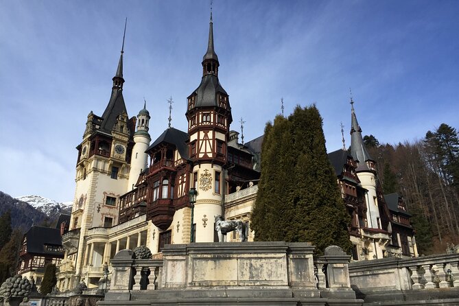 Uncover Transylvania: Private 2-Day Tour Bears & Medieval Wonders - Libearty Bear Sanctuary: A Forest Home for Rescued Bears