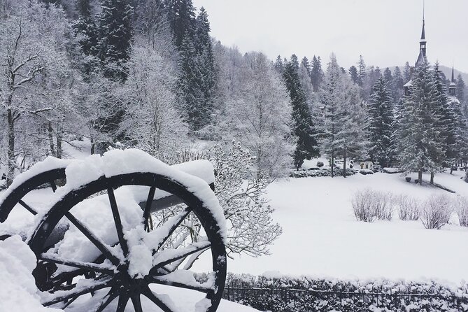 Uncover Transylvania: Private 2-Day Tour Bears & Medieval Wonders - Pace, Pickup, and How Long Drives Fit Into the Day