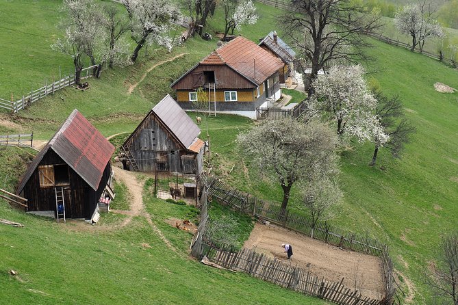 Village life in Transylvanian Carpathian mountains - 8 days - Key things I’d circle before you book