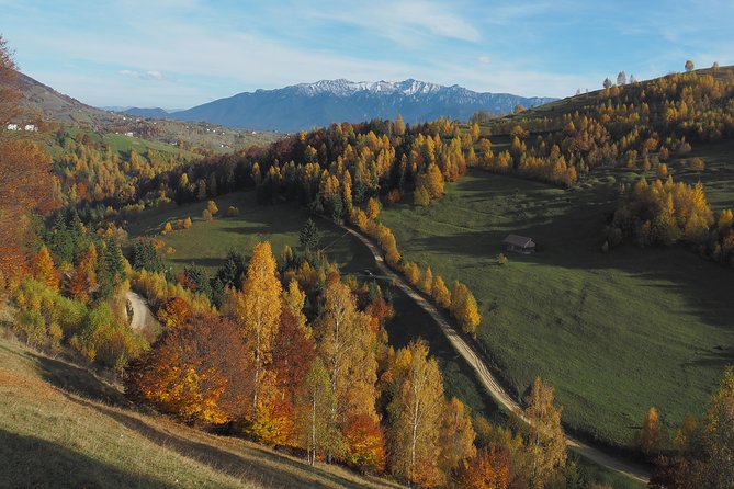 Village life in Transylvanian Carpathian mountains - 8 days - Authentic villages across Piatra Craiului and Bucegi, from Magura to Fundata and beyond