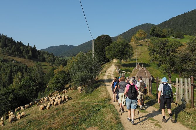 Village life in Transylvanian Carpathian mountains - 8 days - Bucegi Natural Park: Simon village, Devil’s Mill, and a sheep-farm seasonal note