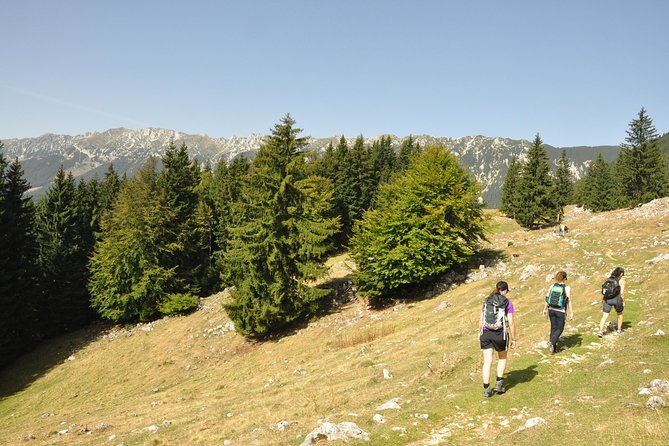 Village life in Transylvanian Carpathian mountains - 8 days - Seven Ladders Canyon near Piatra Mare: waterfall stairs inside Jurassic limestone