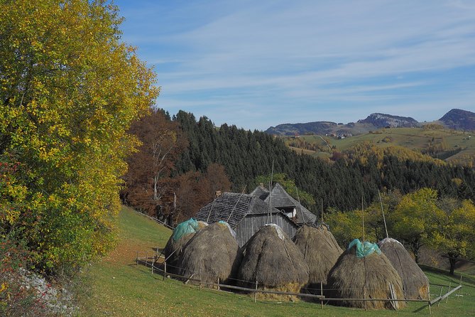 Village life in Transylvanian Carpathian mountains - 8 days - Village food and the value of having meals handled