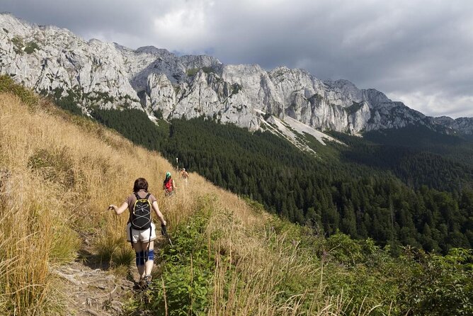 Village life in Transylvanian Carpathian mountains - 8 days - Bran Castle and the first trail push toward Magura village