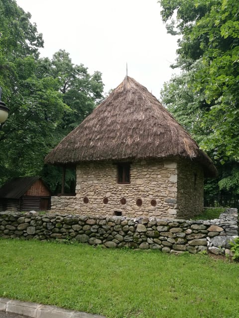 Village Museum Bucharest Guided Tour - Practical tips so you enjoy the short walk more