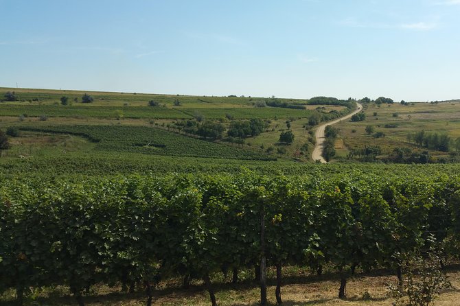 Vineyards and wine tasting experience - Price and logistics: is $127.95 good value for two wine days?