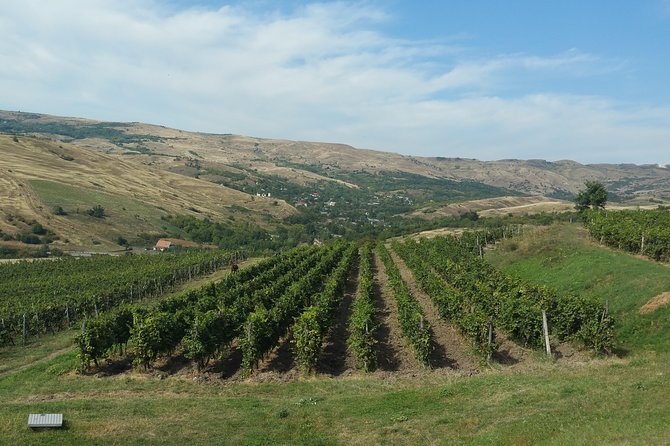 Vineyards and wine tasting experience - Who this tour suits best, and who might want a different plan
