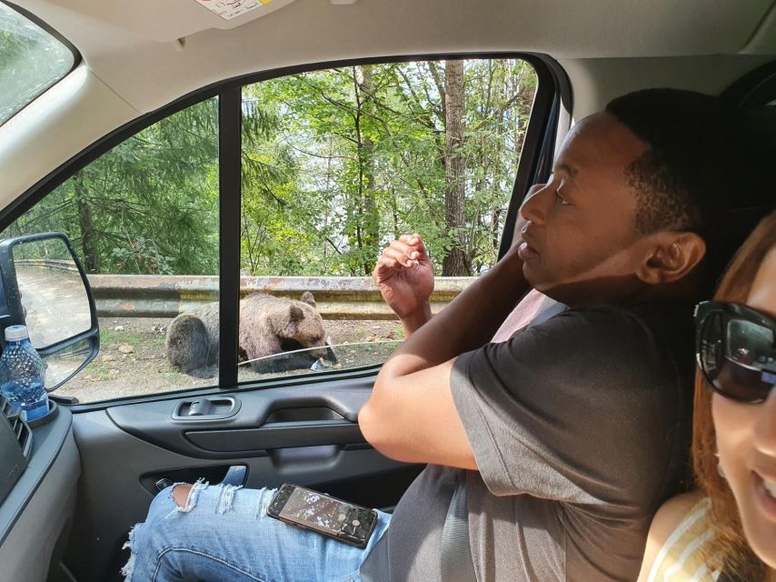 Wild Bears and Dracula Private Day Tour - Who should book this tour, and who might not love it