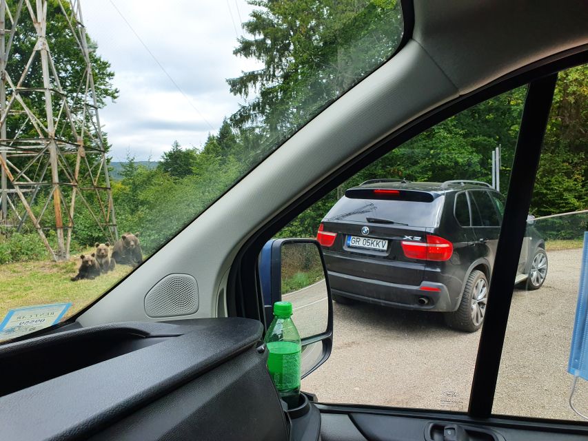 Wild Bears and Dracula Private Day Tour - Wild brown bears by the road: how to think about sightings