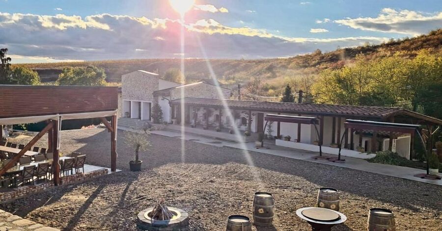 Winery touring & private wine tasting - one day private tour - Hotel Pickup and the Drive Through the Sub Carpathians