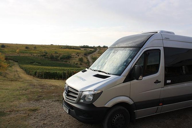 Wines of Wallachia – 8 hours - The first winery visit in Prahova County: tasting with an expert’s map
