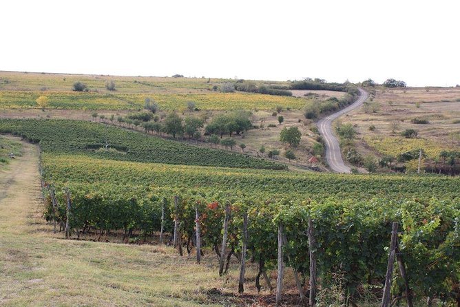 Wines of Wallachia – 8 hours - The lunch break in peaceful natural beauty