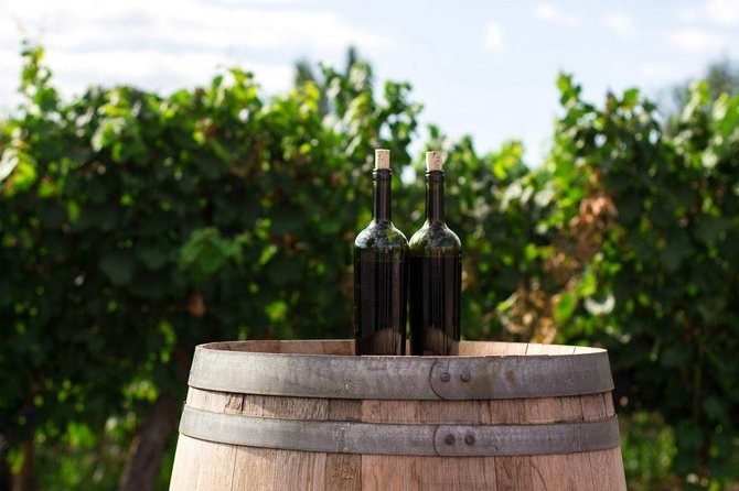 Wines of Wallachia – 8 hours - Why the small group size actually improves your day