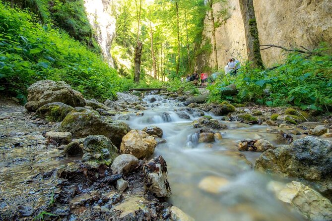 Zipline, Hiking and Canyon Crossing Expedition - A Full Day of Carpathian Hiking, Canyon Crossing, and Ziplining