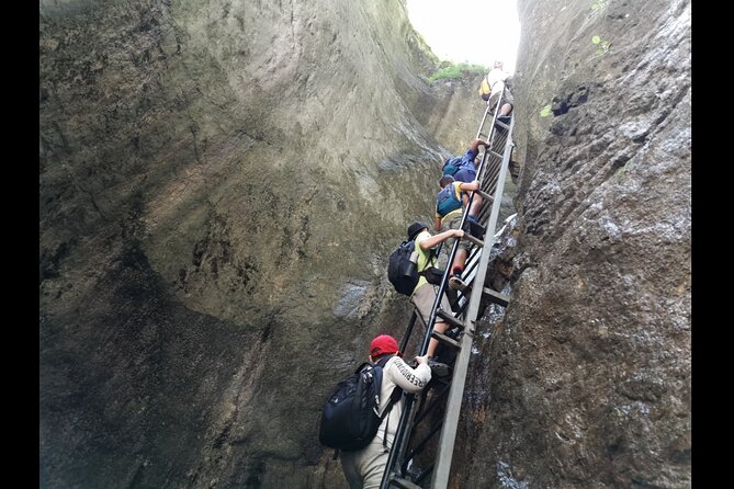 Zipline, Hiking and Canyon Crossing Expedition - The Guided Hike: Two Hours Near the Carpathians